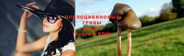 бошки Гусиноозёрск