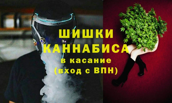 крисы Строитель