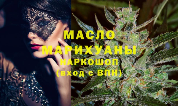 амф Гусь-Хрустальный