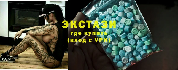 амф Гусь-Хрустальный