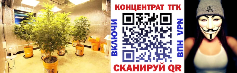 мориарти Telegram  Волчанск  ТГК вейп с тгк 